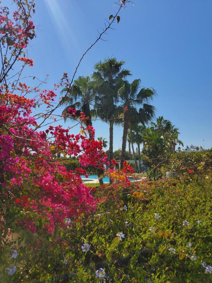 Bajo En Primera Linea De Vera-Playa Con Piscina Privada! Extérieur photo